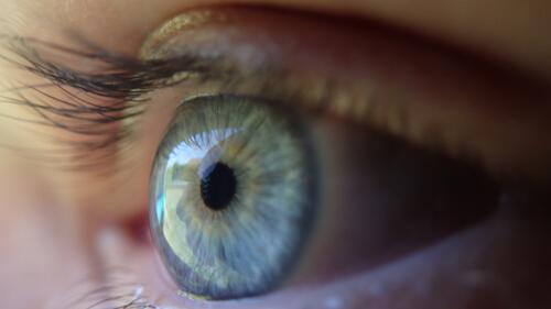 A close-up of the human eye