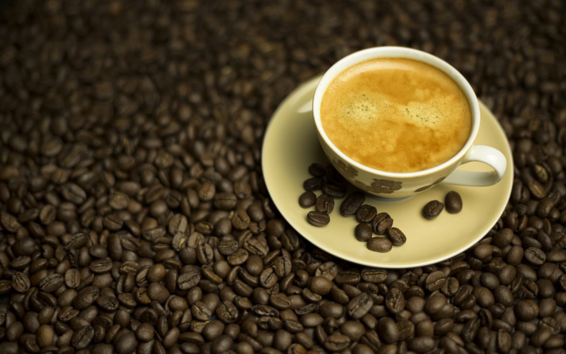 Бесплатное фото Чашка с блюдцем на кофейных зернах