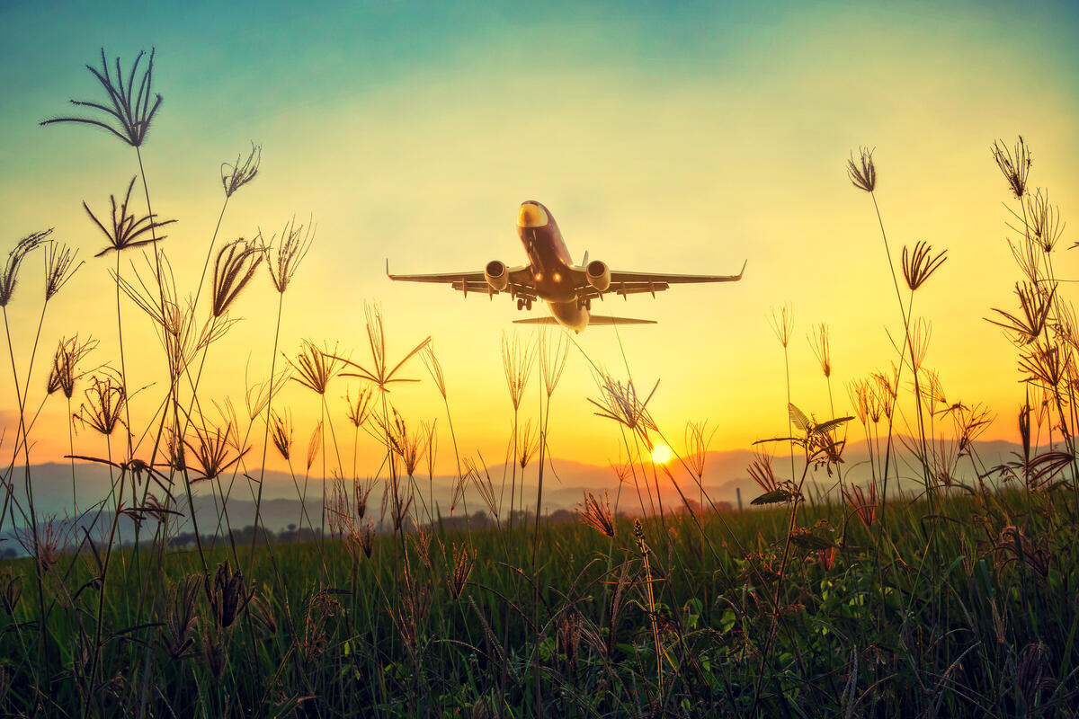 A picture of an airplane flying low over a green field at sunset.