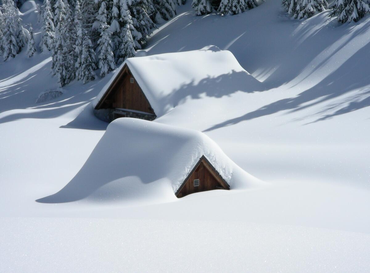 Houses covered in snow up to the roof.