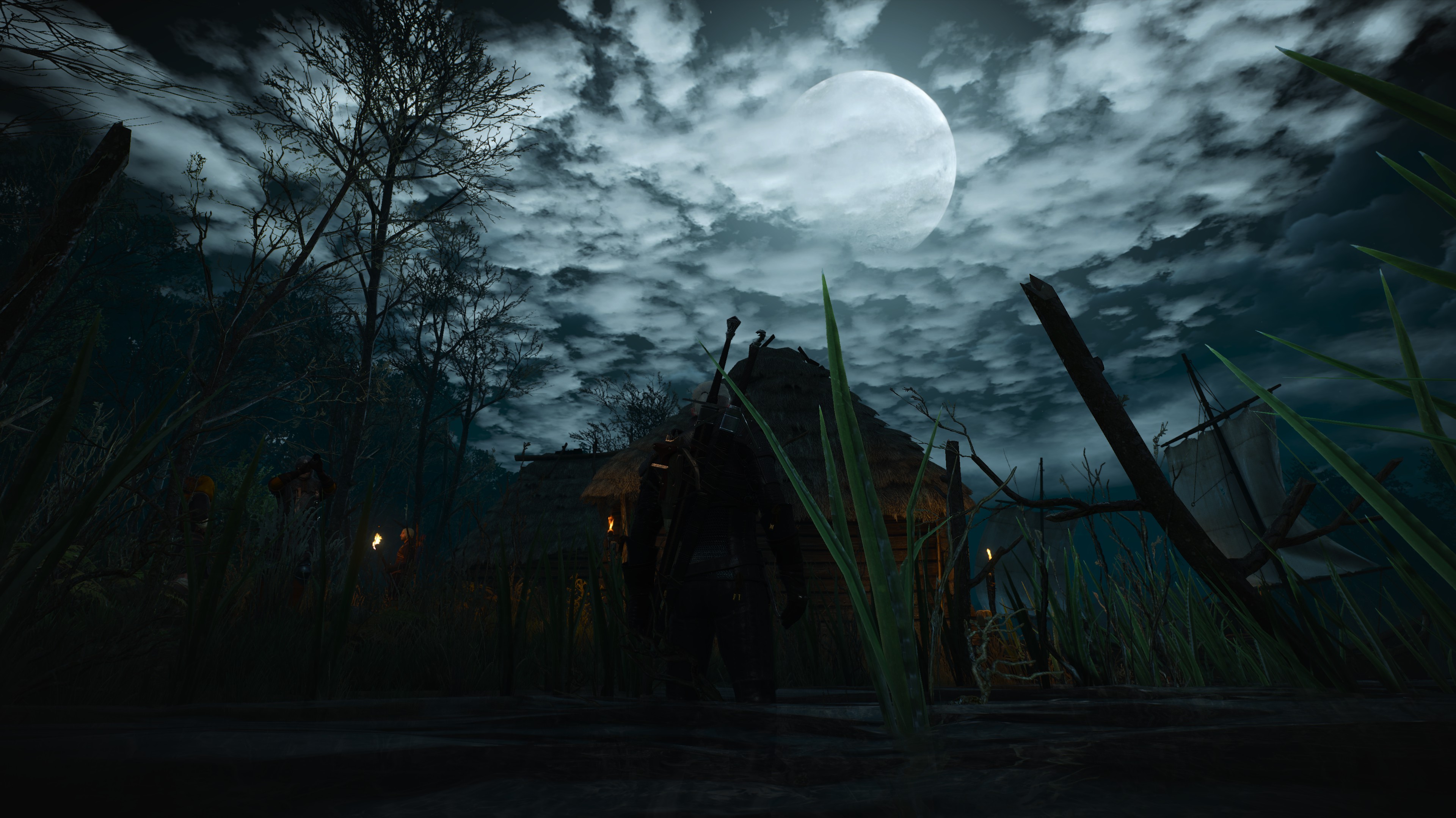 Игры под луной. Ведьмак Луна. Ведьмак 3 атмосфера. Witcher 3 Night. «Ночь в лесу».