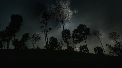 Темная темная ночь с верхушками деревьев
