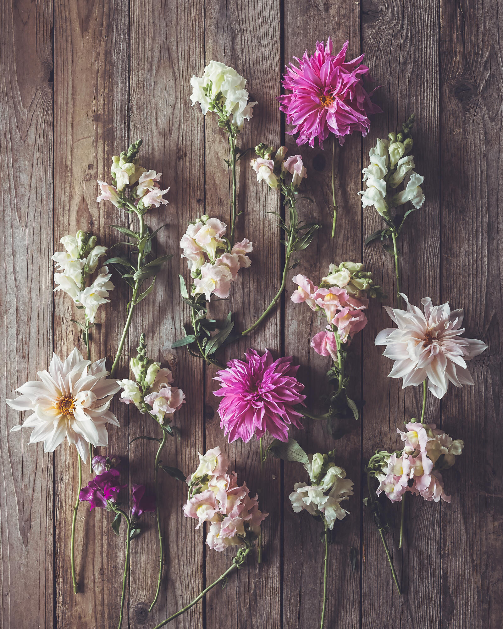 Бесплатное фото Цветы разложенные на деревянном полу