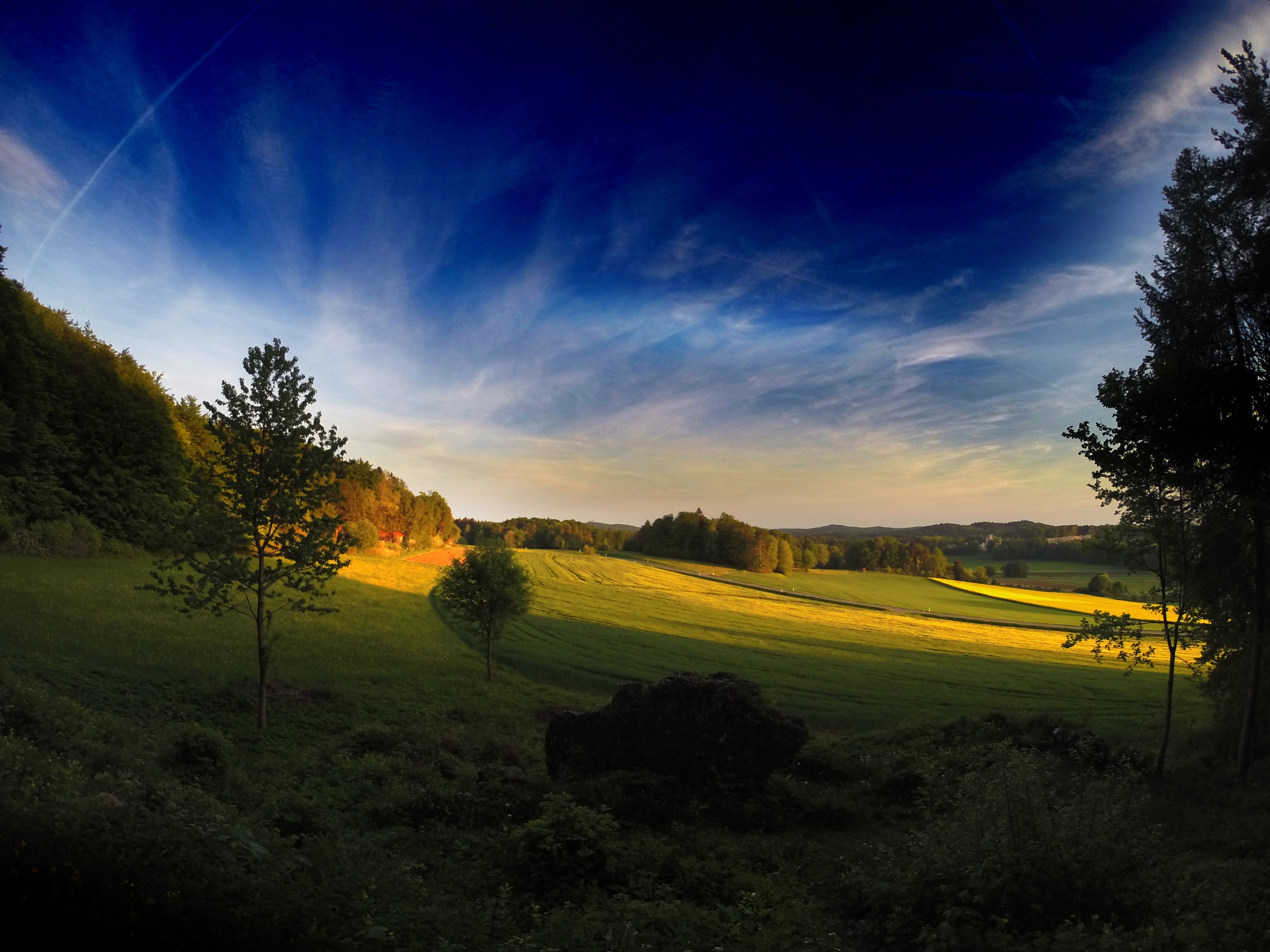 Бесплатное фото Обои большое летнее поле освещается солнцем