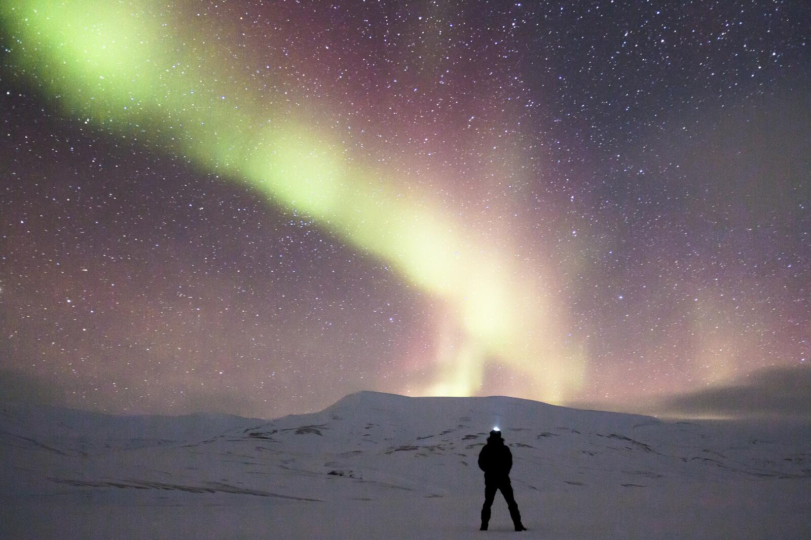 Free photo A man stands looking up at the sky with the northern lights