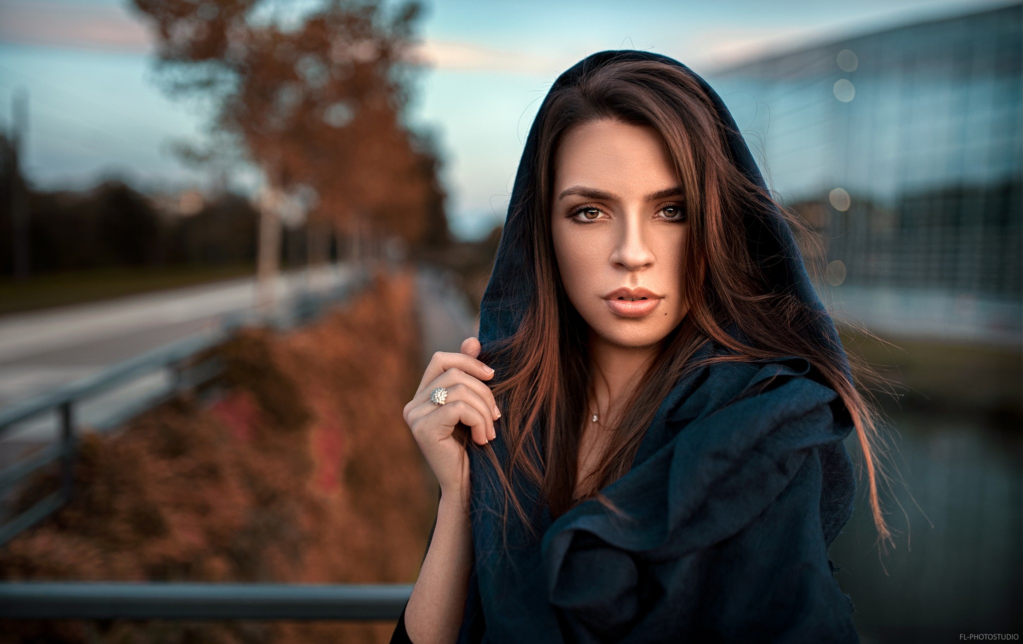 Free photo Portrait of a dark-haired beauty