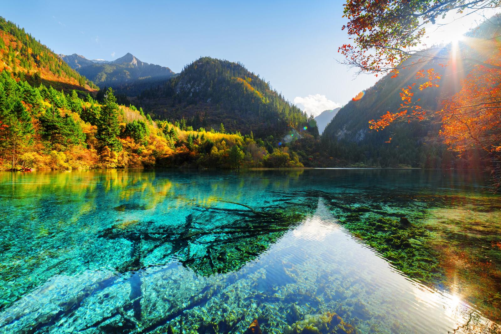 Бесплатное фото Кристально прозрачное озеро в горах