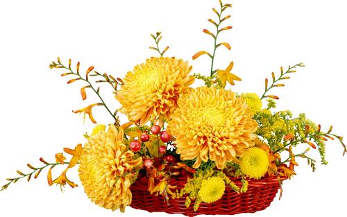 Chrysanthemums in a red basket