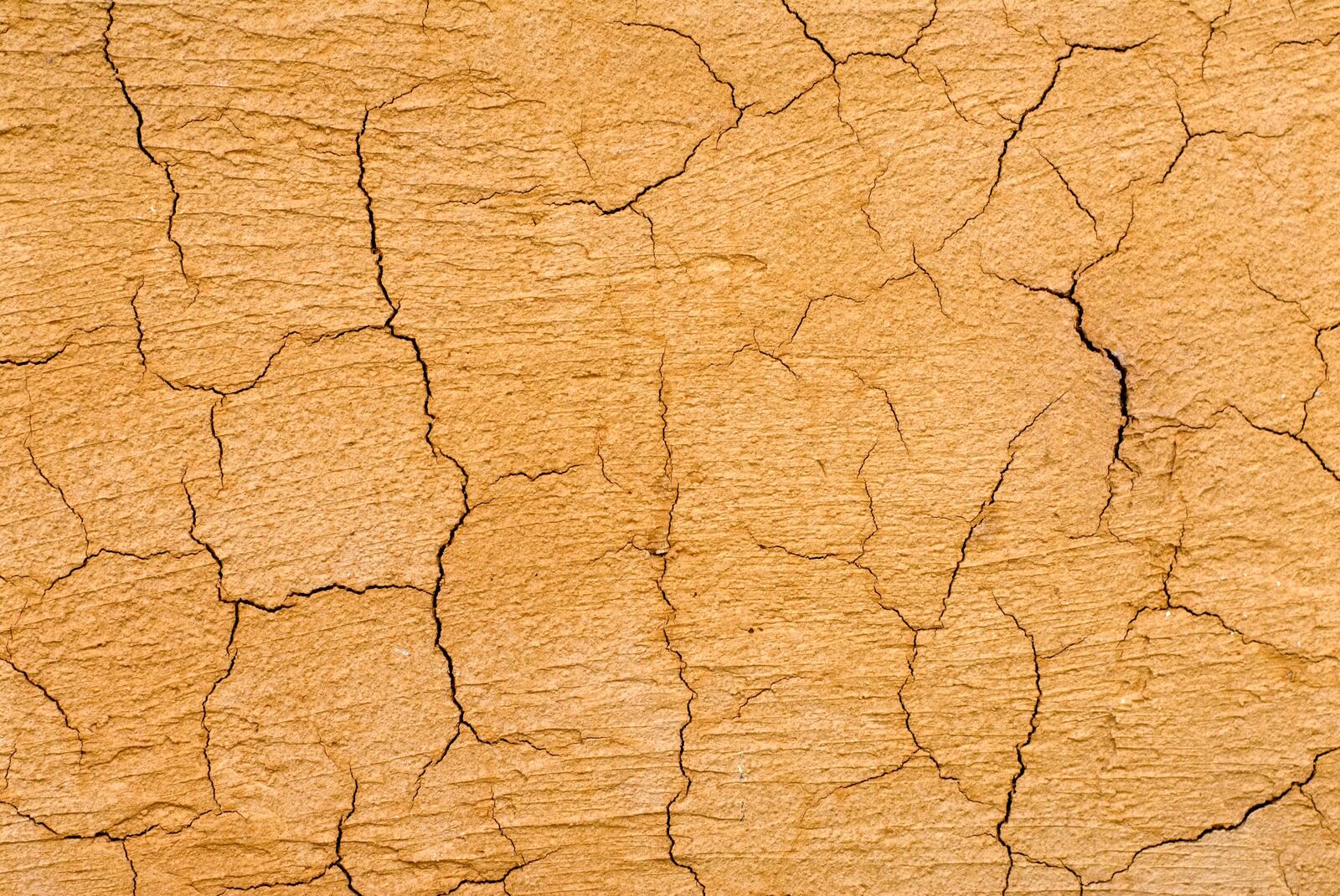 Free photo Cracked soil from drought