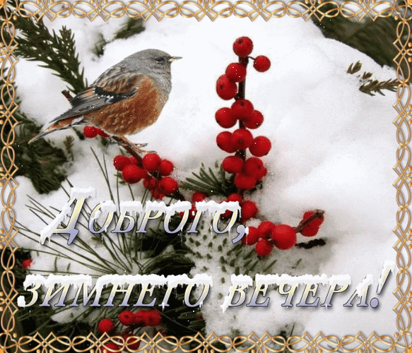 Добрый зимний вечер с птичкой сидящей на ветках рябины