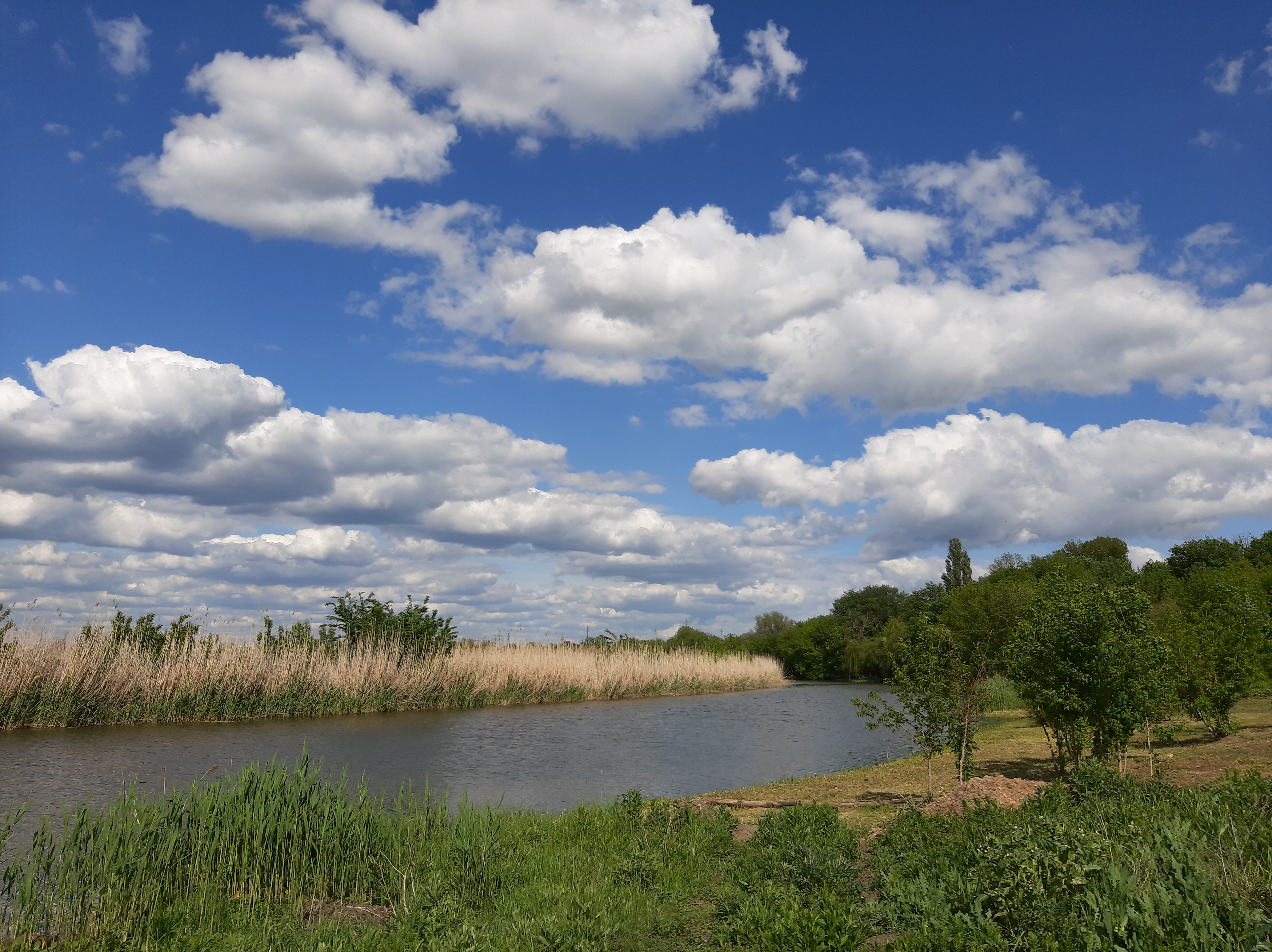 Бесплатное фото Полянка рядом с рекой