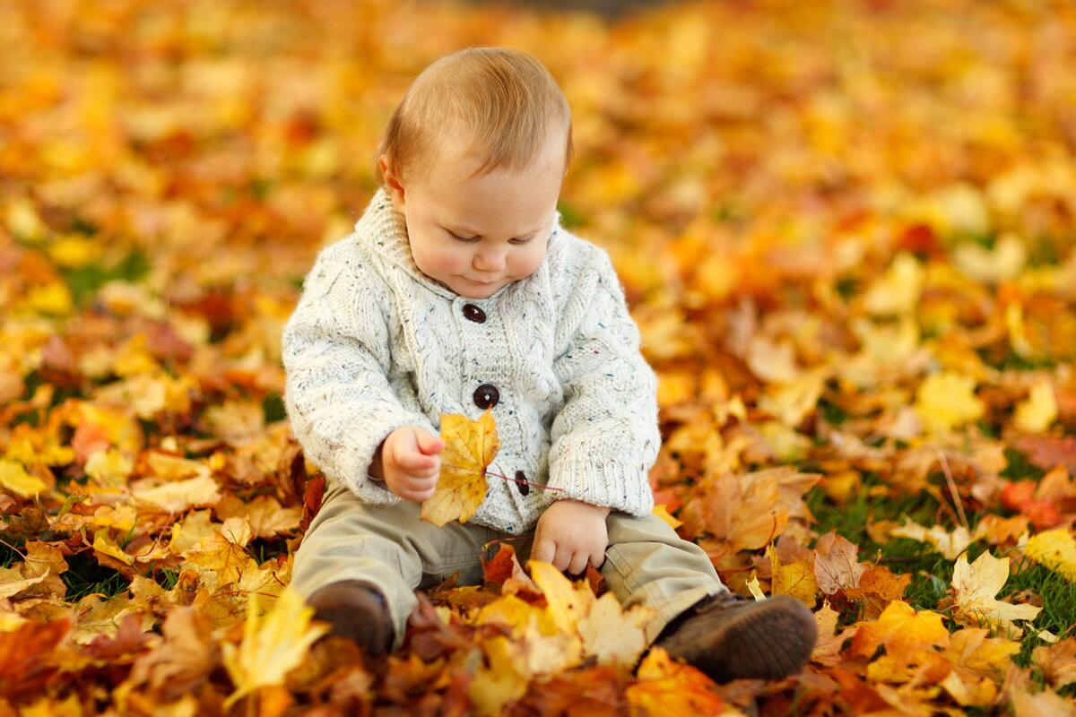 A child looks at the autumn leaves
