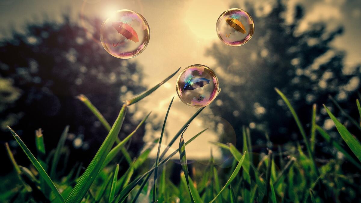 Soap bubbles flying over the green grass