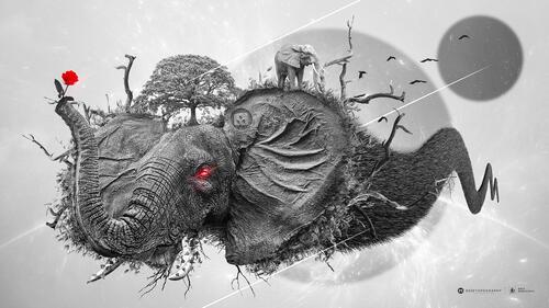 Нарисованный слон держит в хоботе красный цветочек