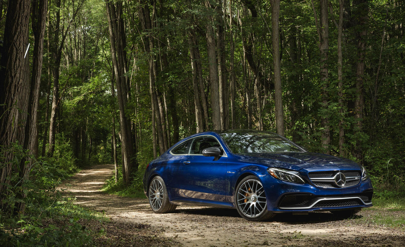 Бесплатное фото Синий Mercedes Benz в лесу