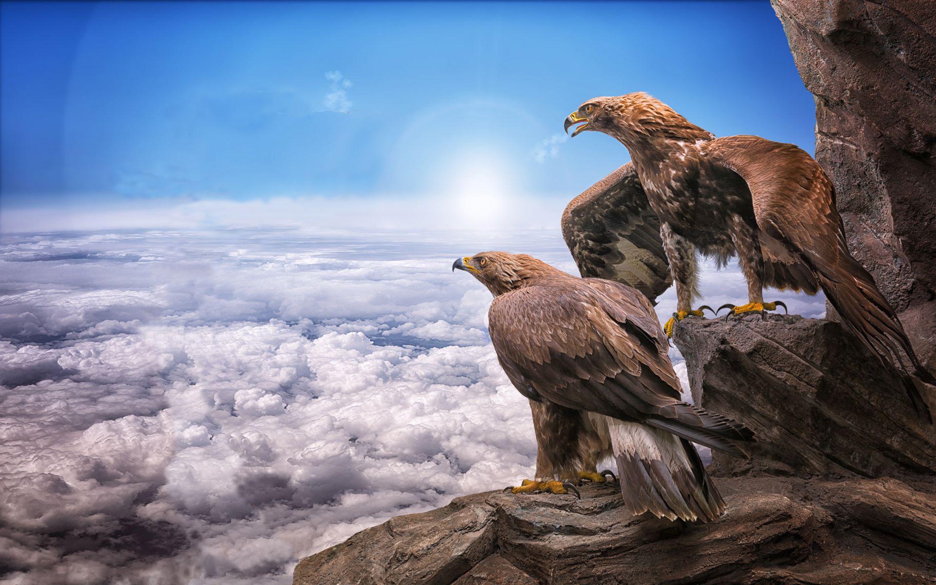 A pair of eagles on a cliff