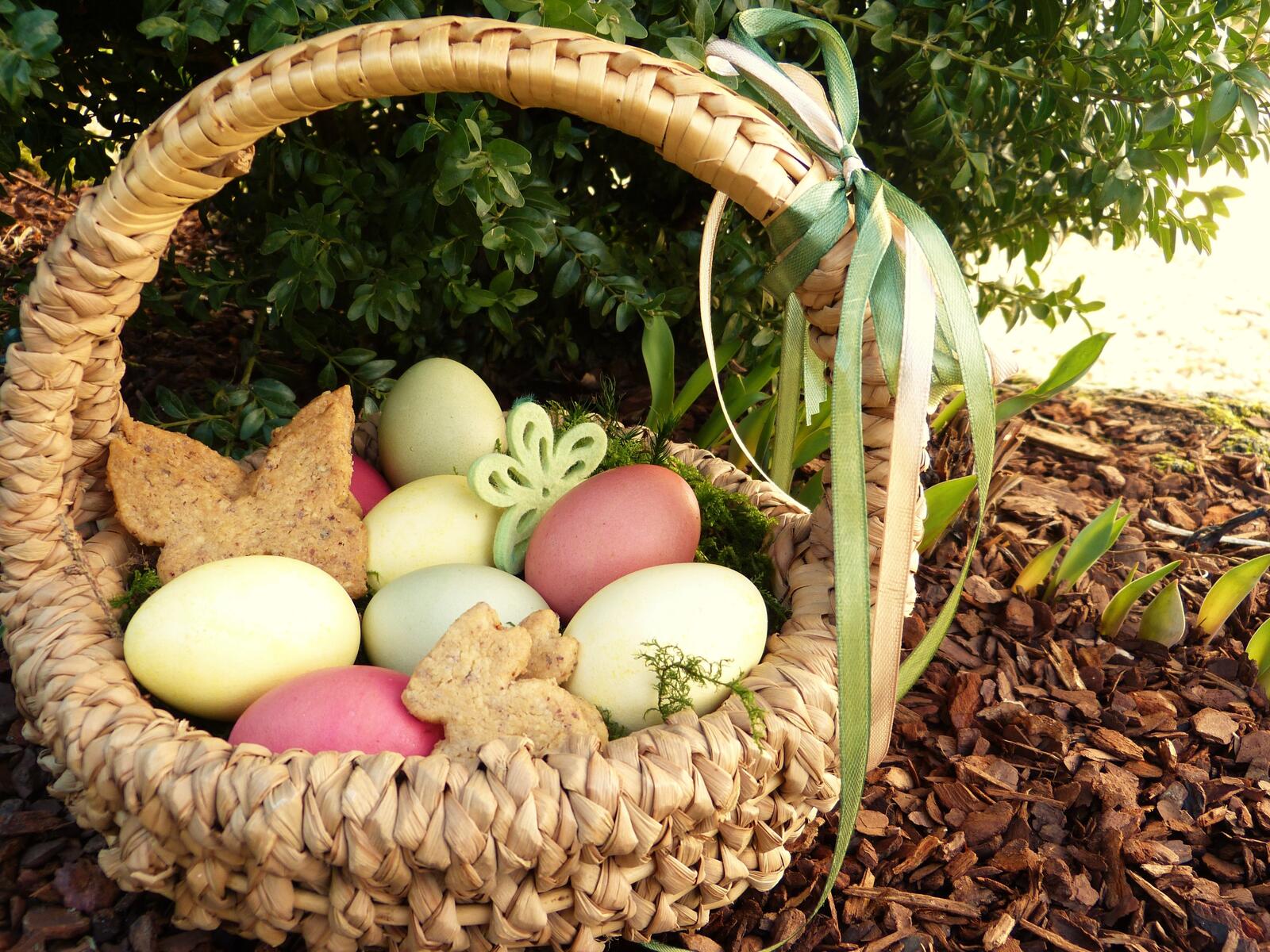 Бесплатное фото Пасхальные яйца в корзинке