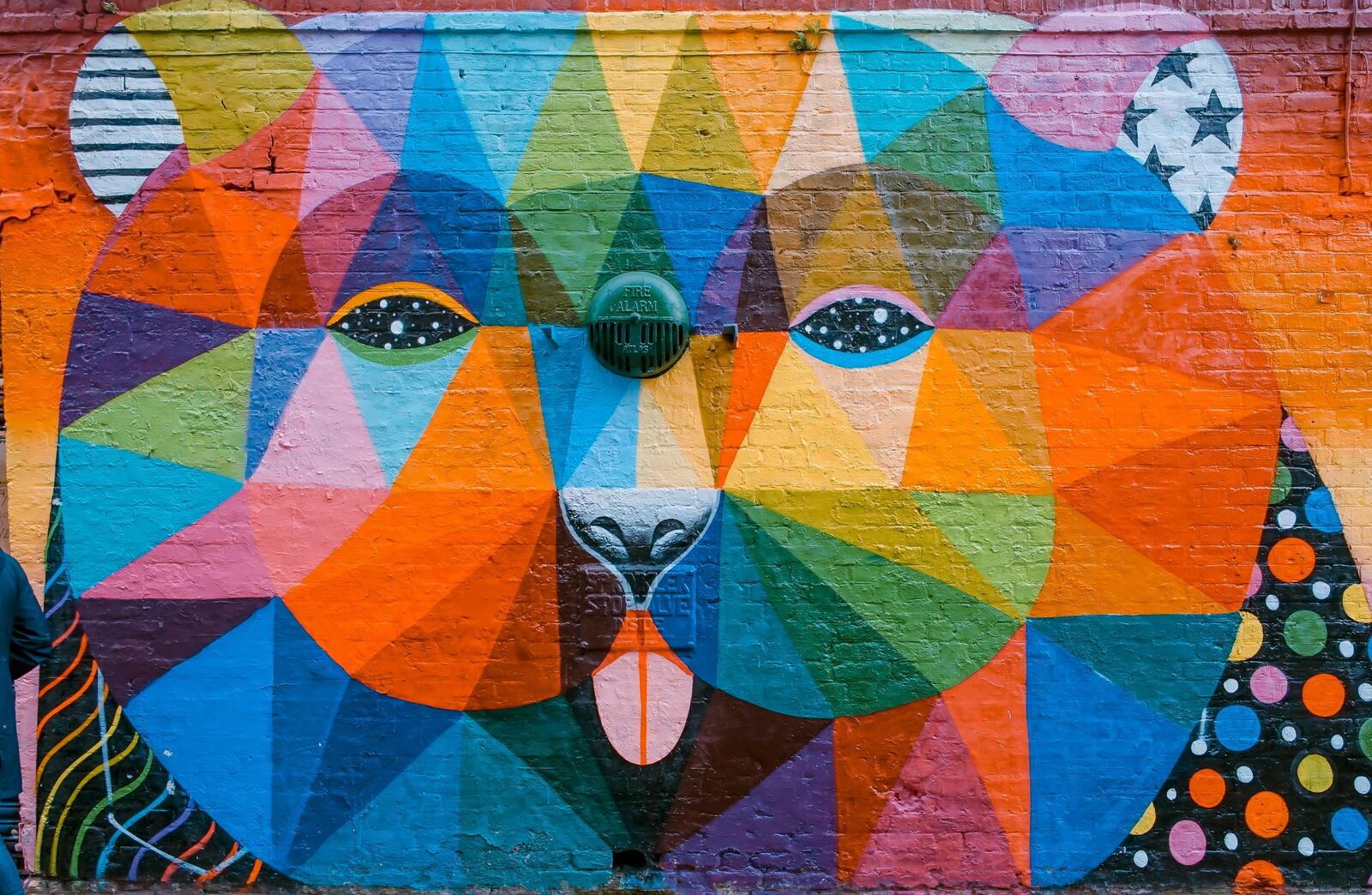 Бесплатное фото Рисунок цветного медведя на стене