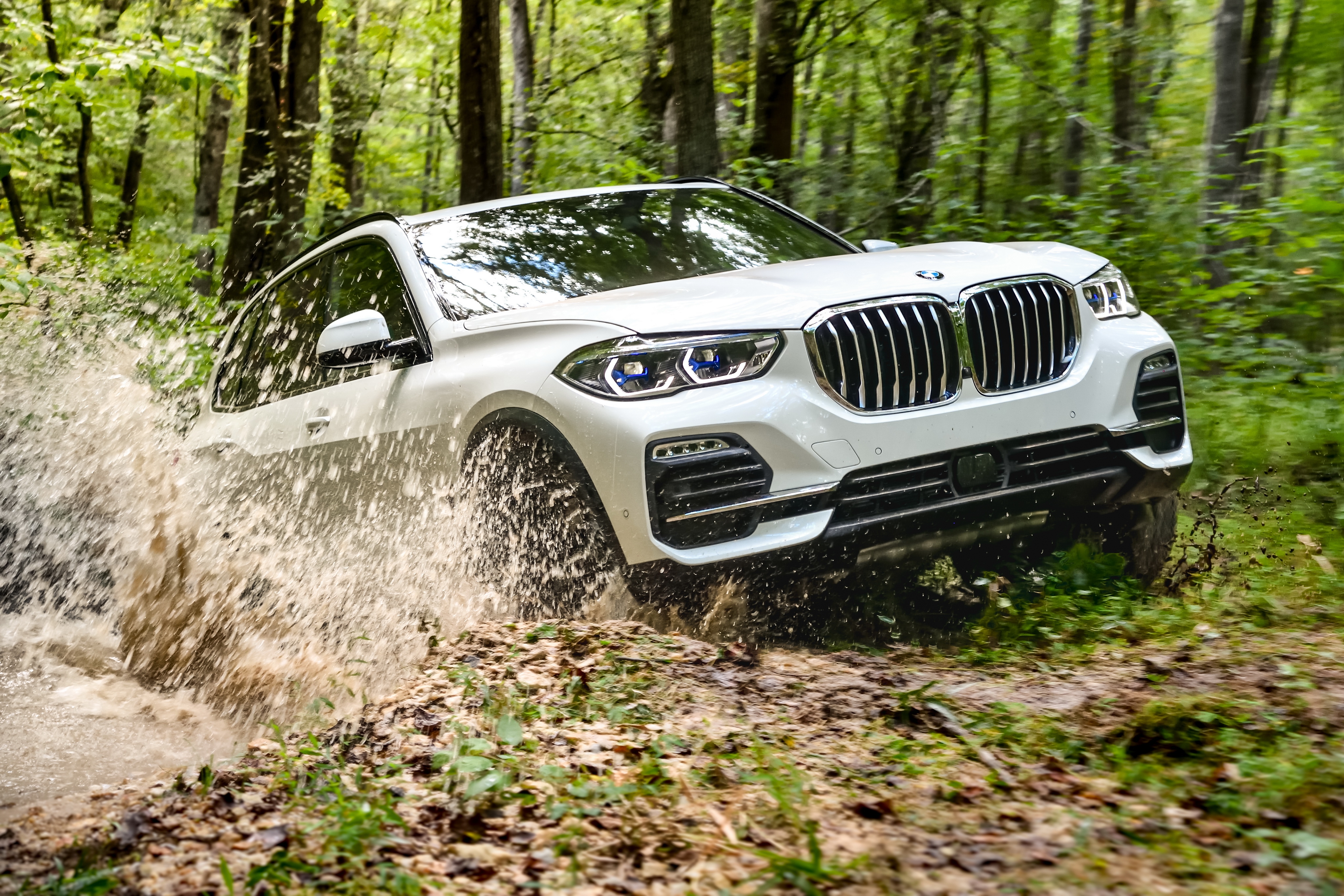 Белый BMW X5 xDrive 40i едет по бездорожью в лесу