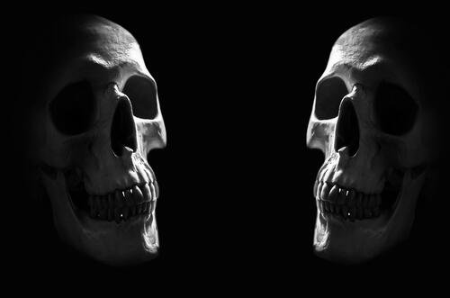 Two skulls in the darkness