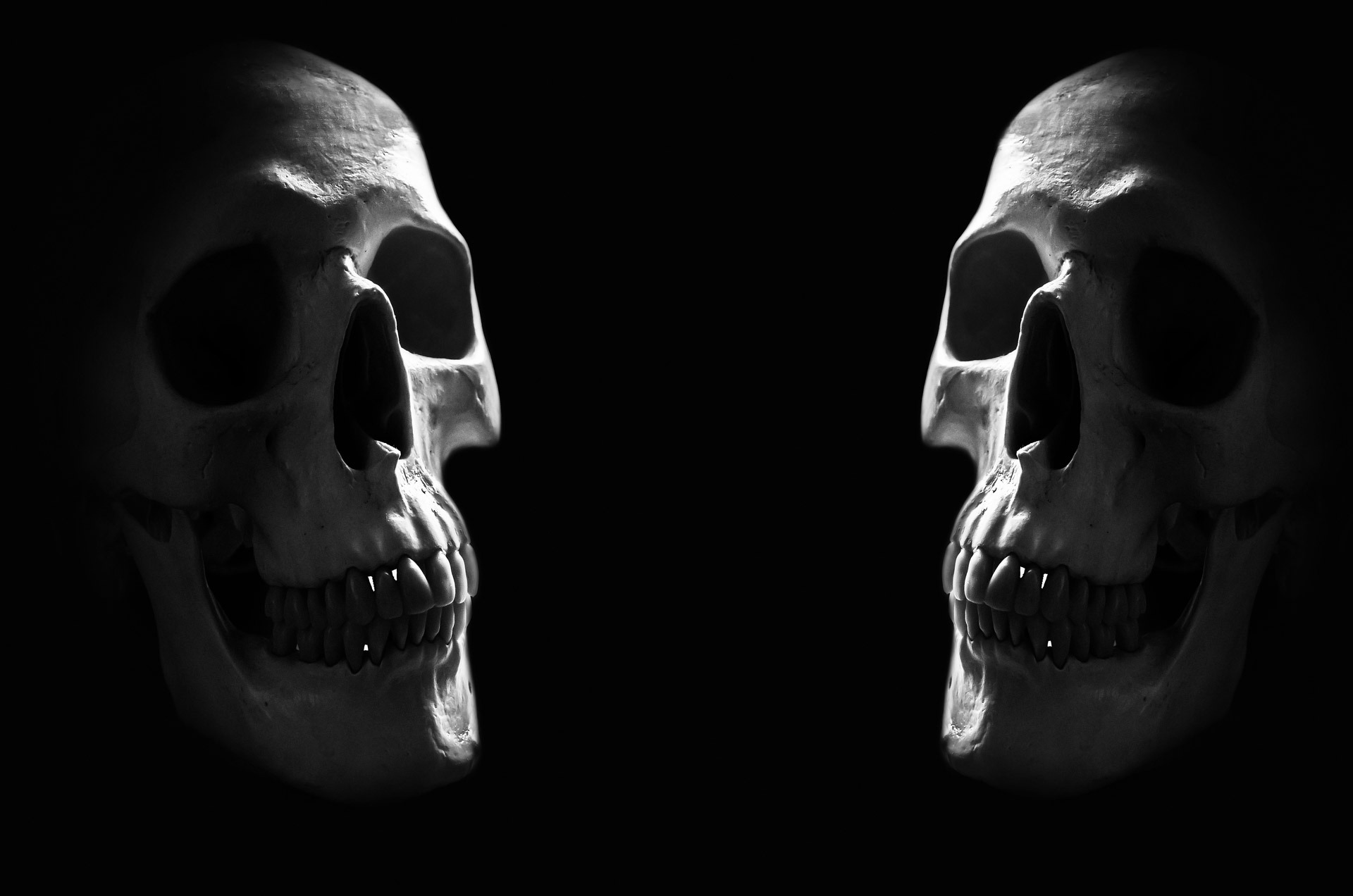 Free photo Two skulls in the darkness