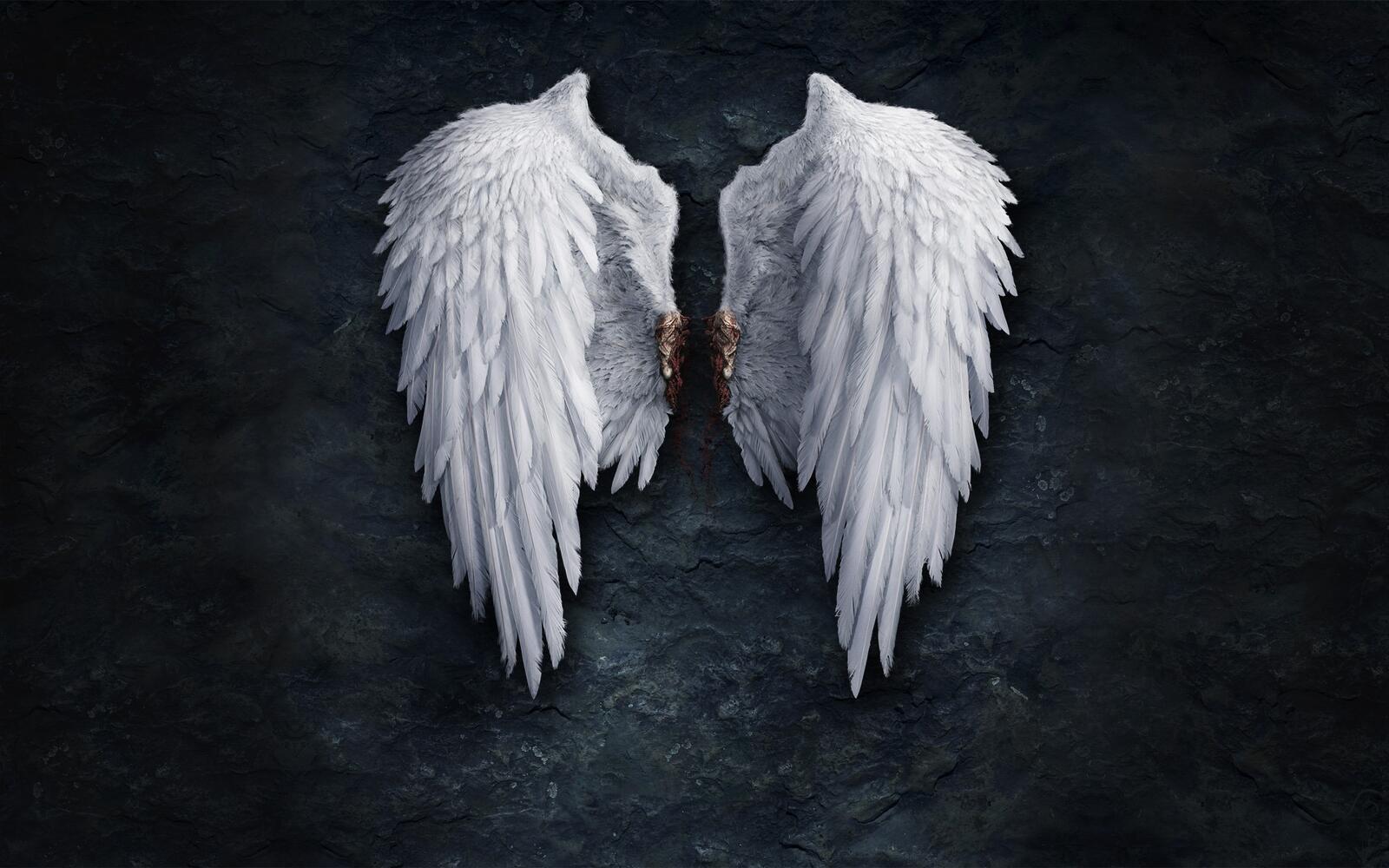 Free photo White angel wings