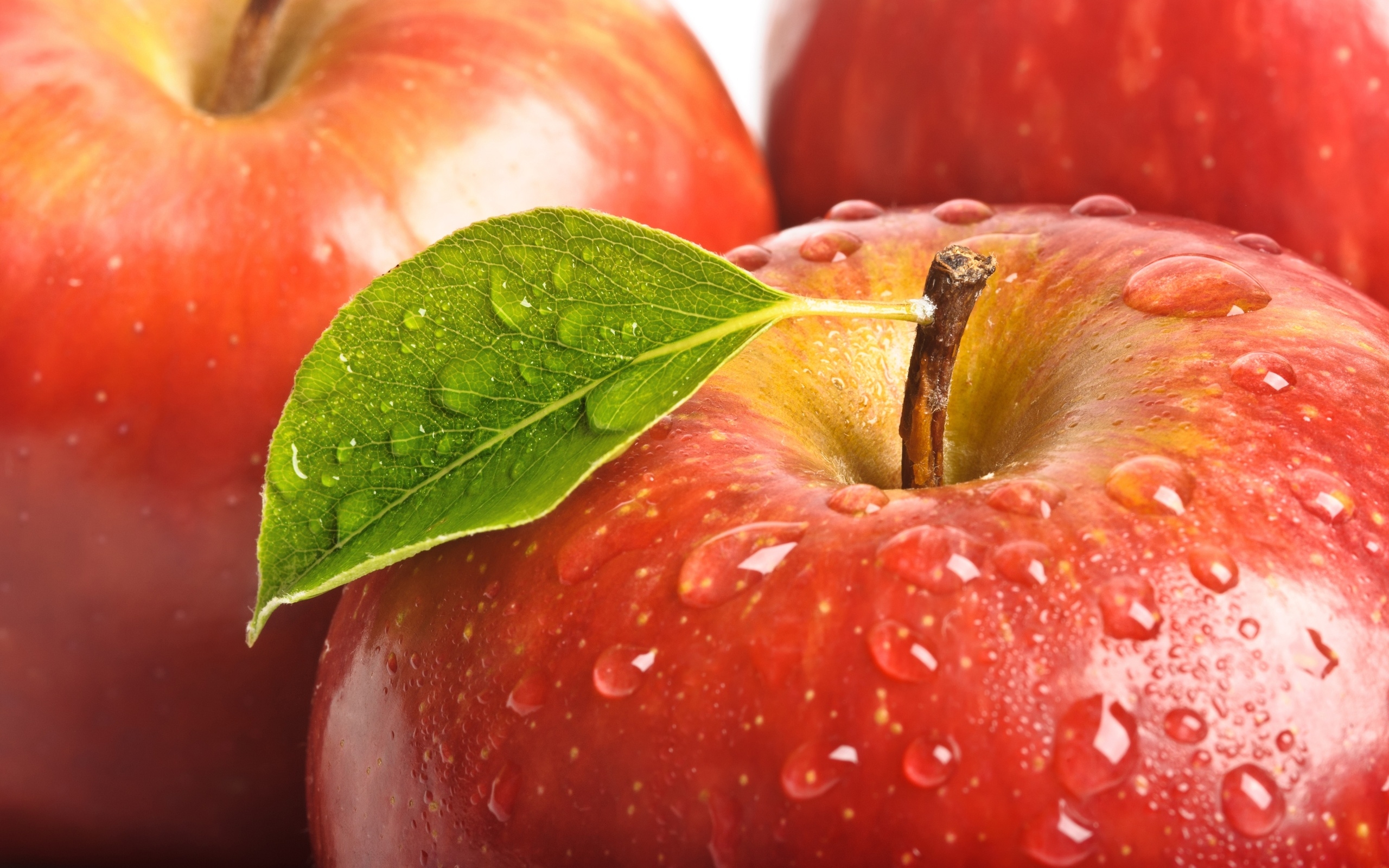 Бесплатное фото Красные яблочки с каплями воды