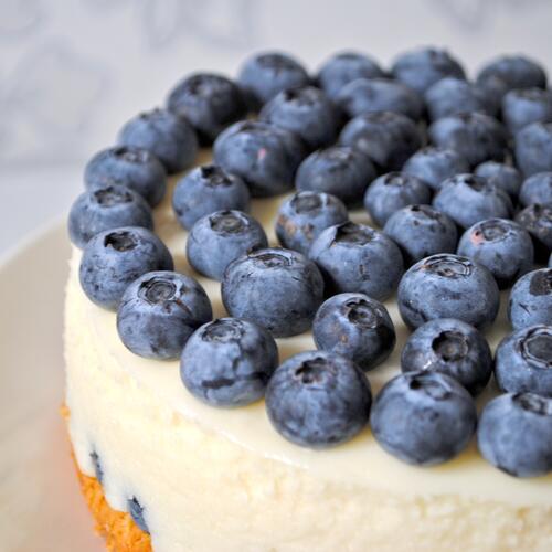 Cheesecake decorated with blueberries