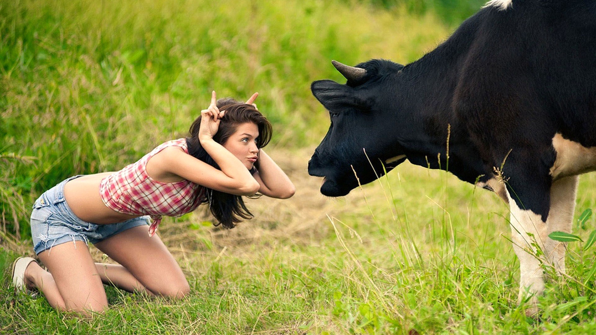 Бесплатное фото Девушка на лугу дразнит корову