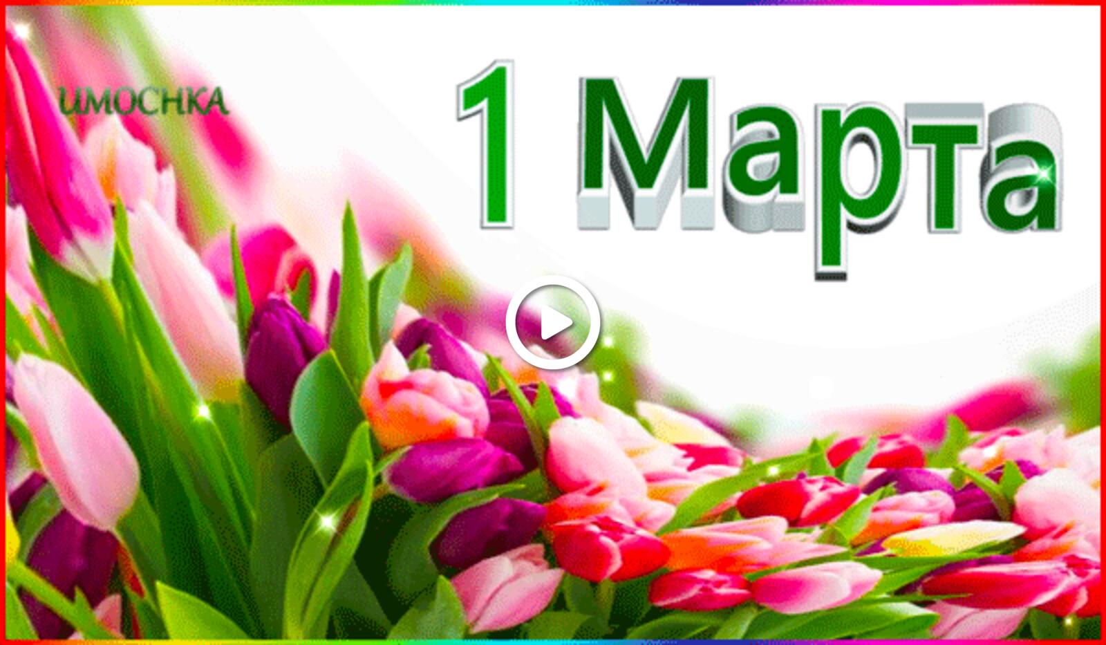 Открытка на тему 1 марта первый день весны тюльпаны бесплатно