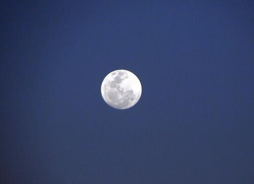 A bright moon in a dark blue sky.