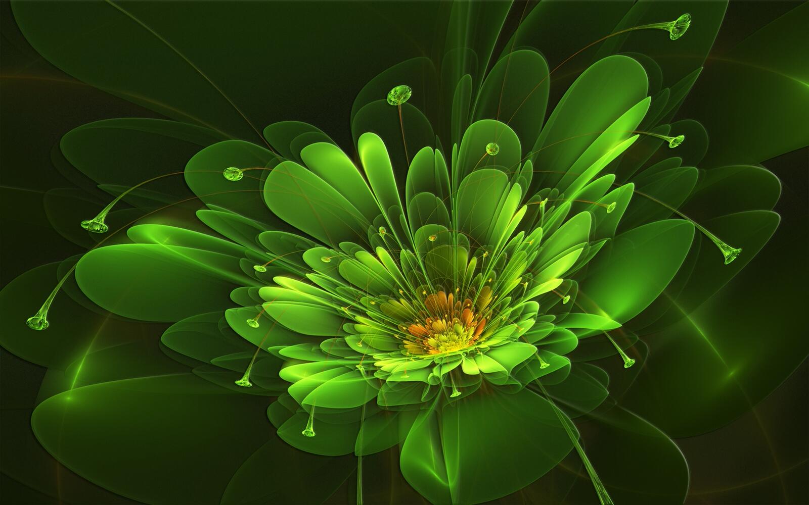 Wallpapers colorful green yellow on the desktop