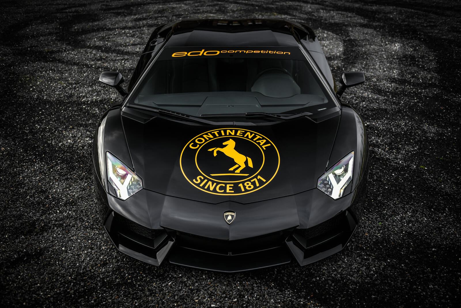 Free photo Black Lamborghini Aventador with a sticker on the hood