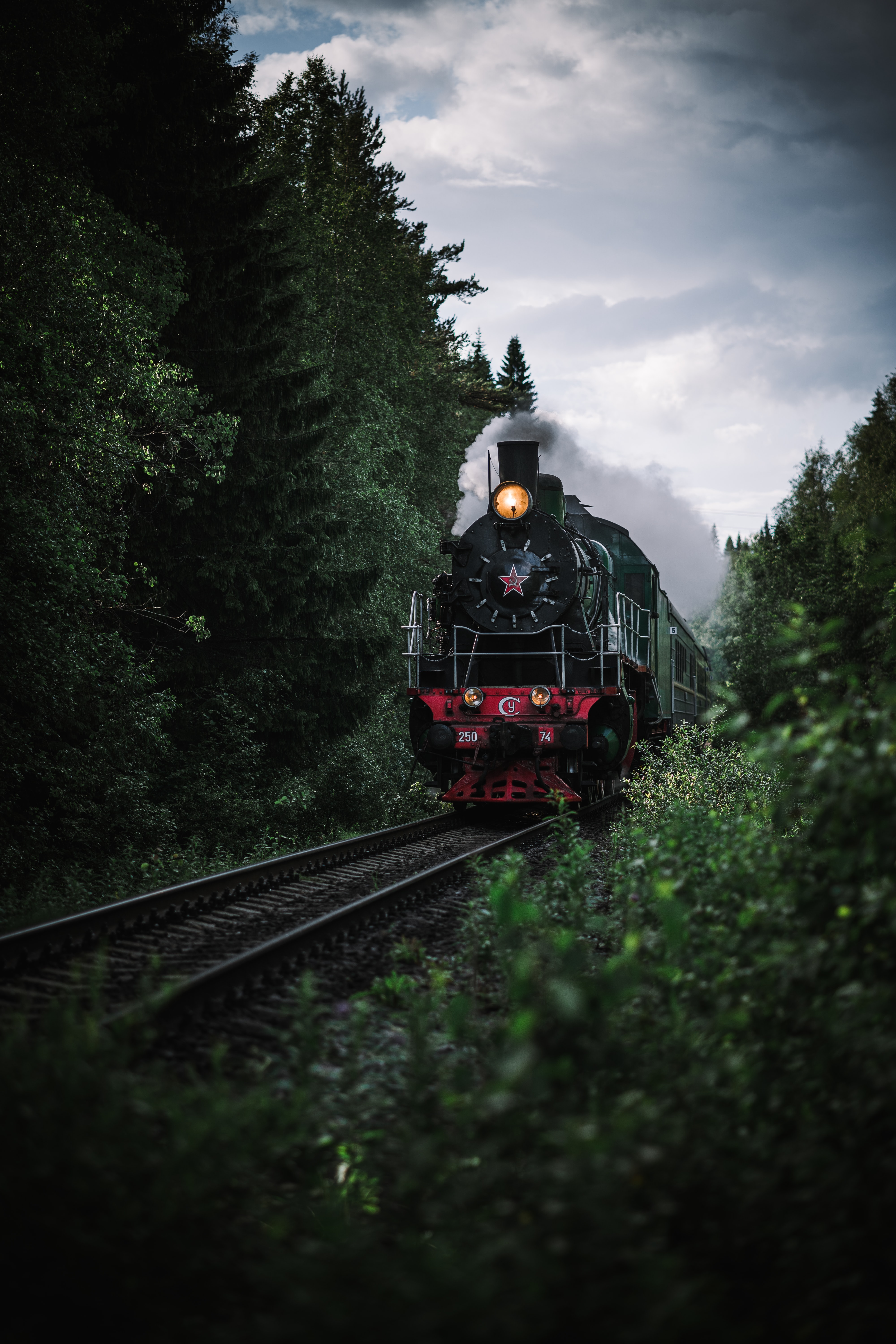 Free photo A steam locomotive in the woods