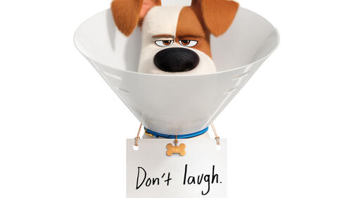 Puppy from The Secret Life of Pets 2