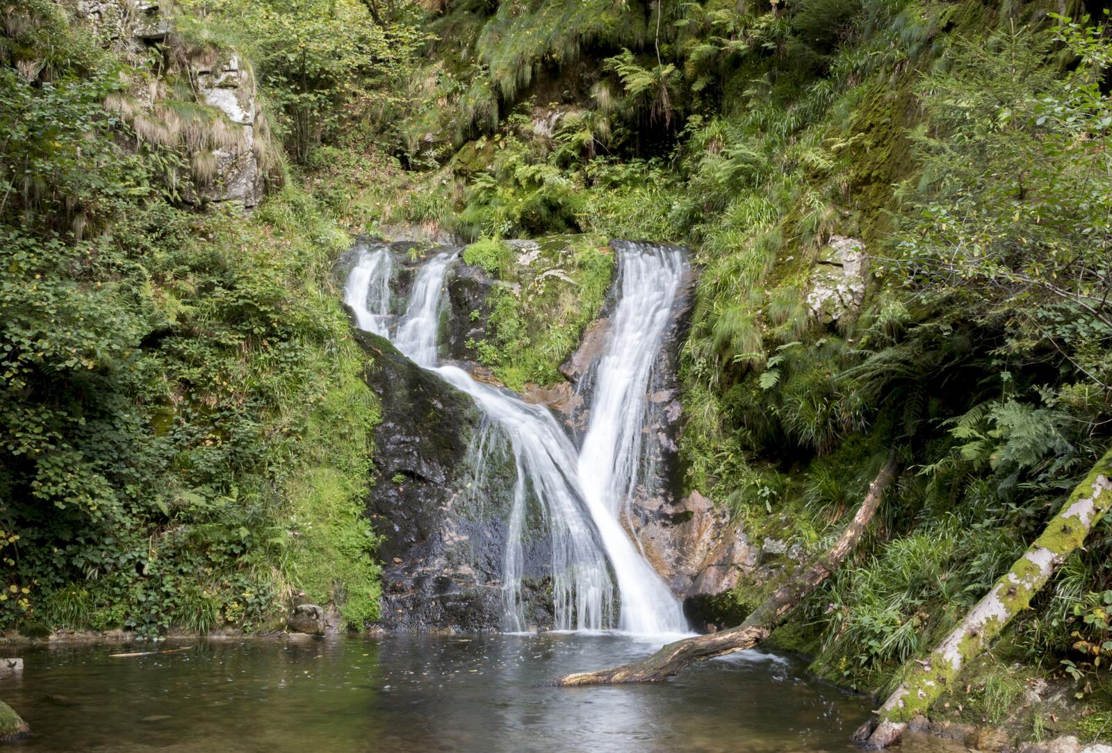 Free photo View of the waterfall in the forest
