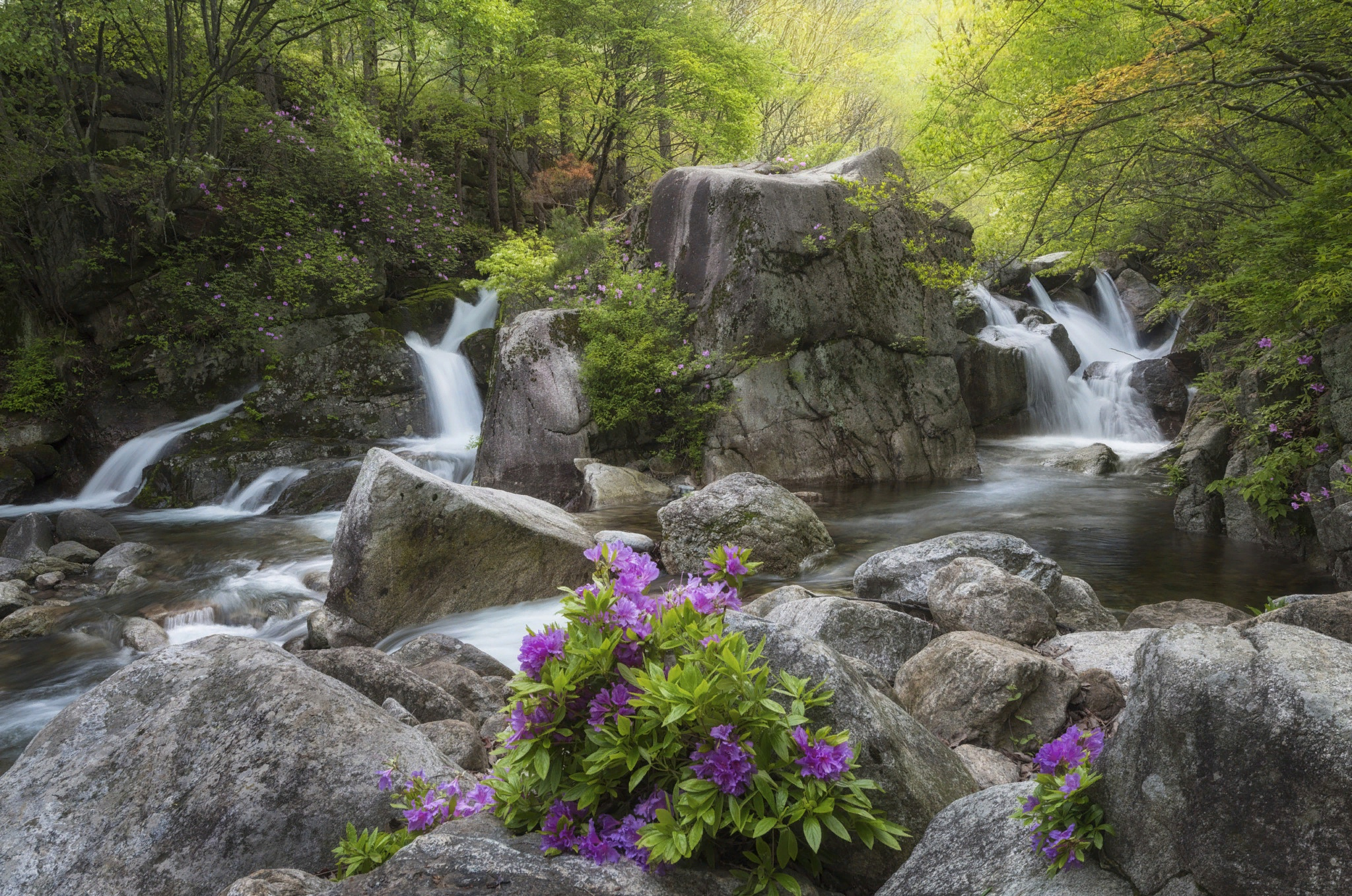 Free photo A forest waterfall in South Korea