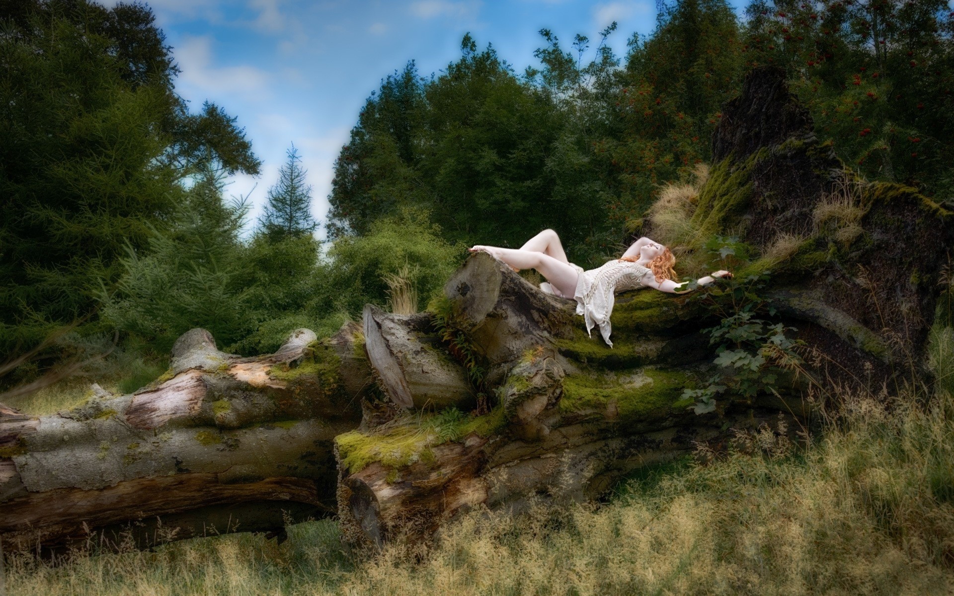 Бесплатное фото Девушка в платье позирует лежа в лесу на поваленном дереве