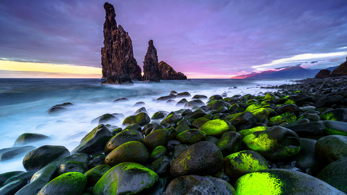 Камни на берегу моря покрытые мхом