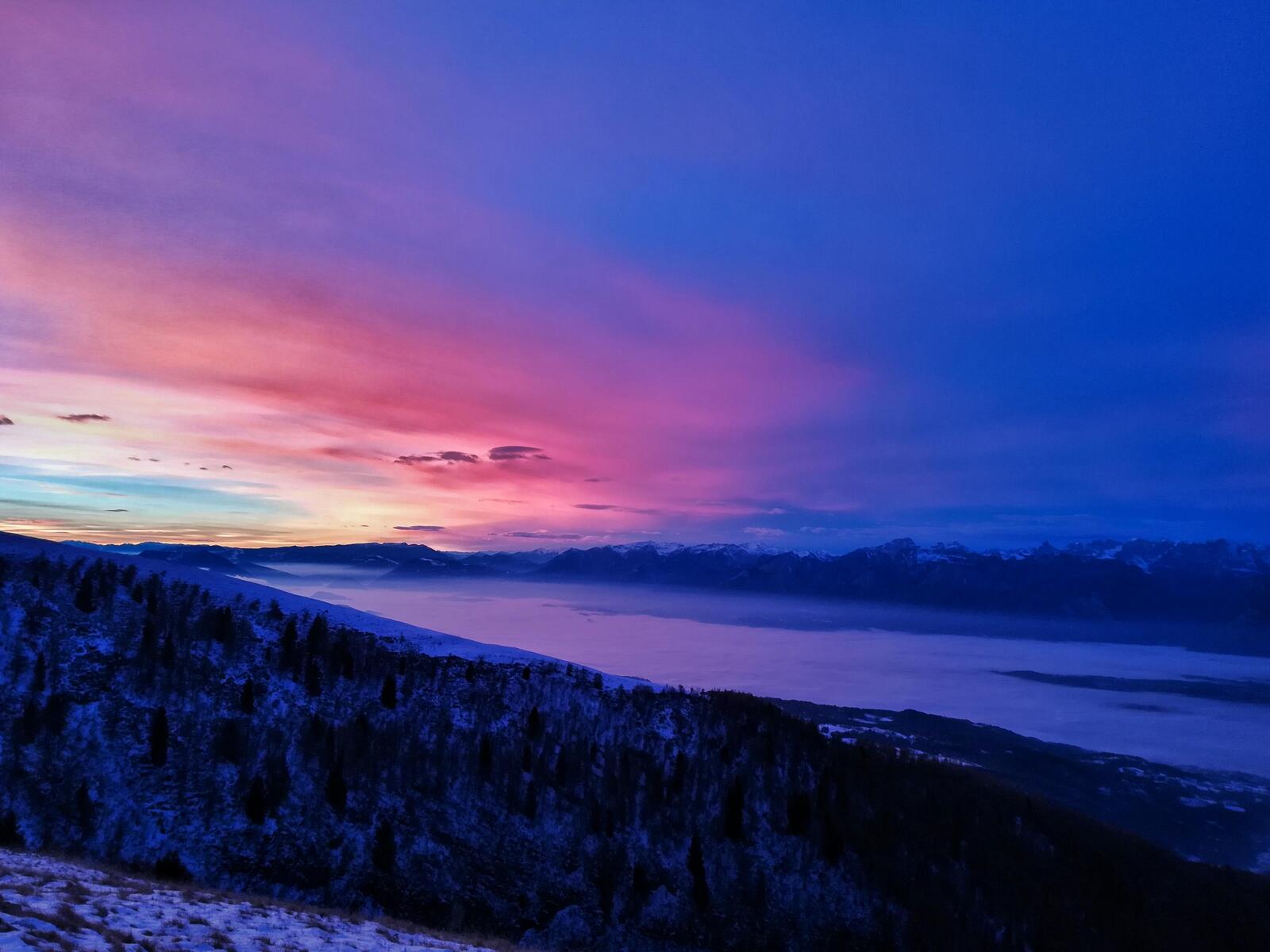 Бесплатное фото Зимний закат в лесном массиве с холмистой местностью