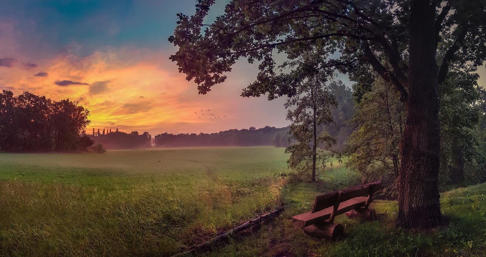 Бесплатное фото Скамейка с видом на большую лужайку