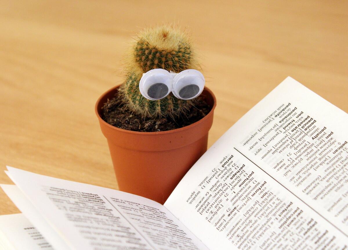 A cactus with big eyes is reading a book