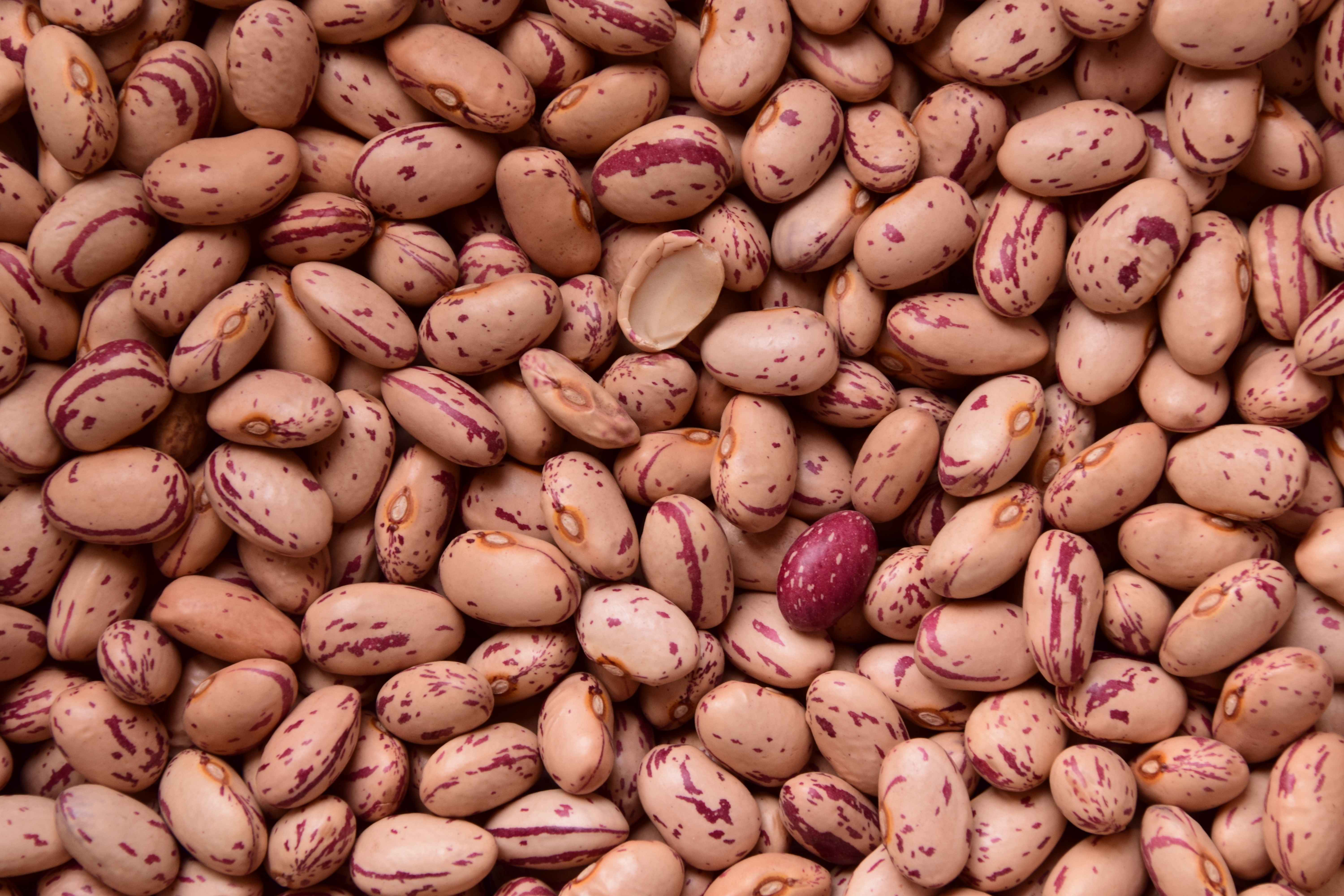 Free photo Lots of beans