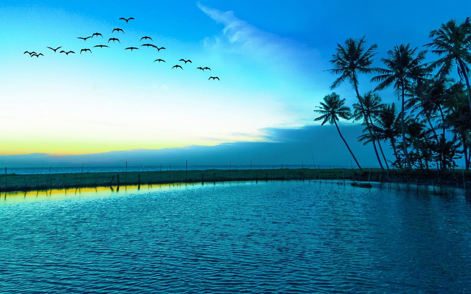 Бесплатное фото Большой бассейн на острове с пальмами