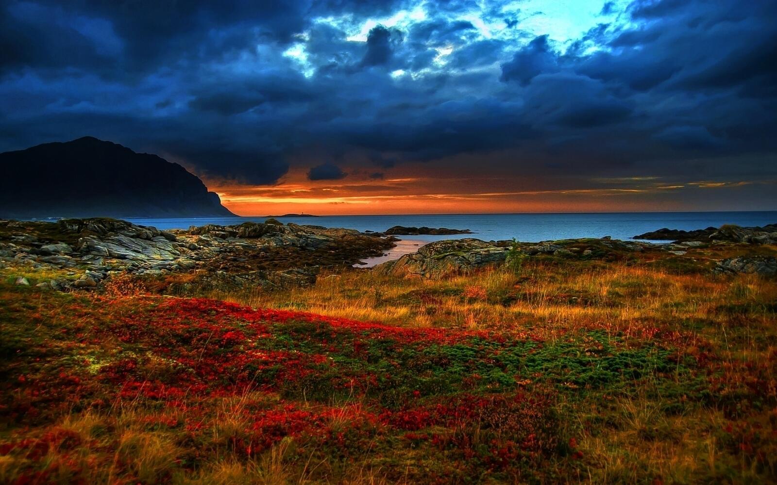 Бесплатное фото Поле у моря на закате