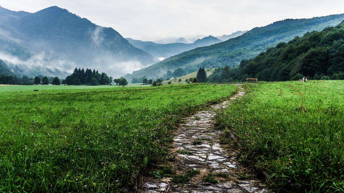 A stone road through a green field
