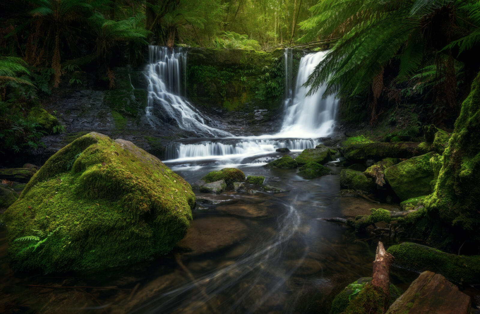 Free photo A waterfall in an old-growth summer forest