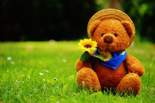 Teddy bear on the lawn.