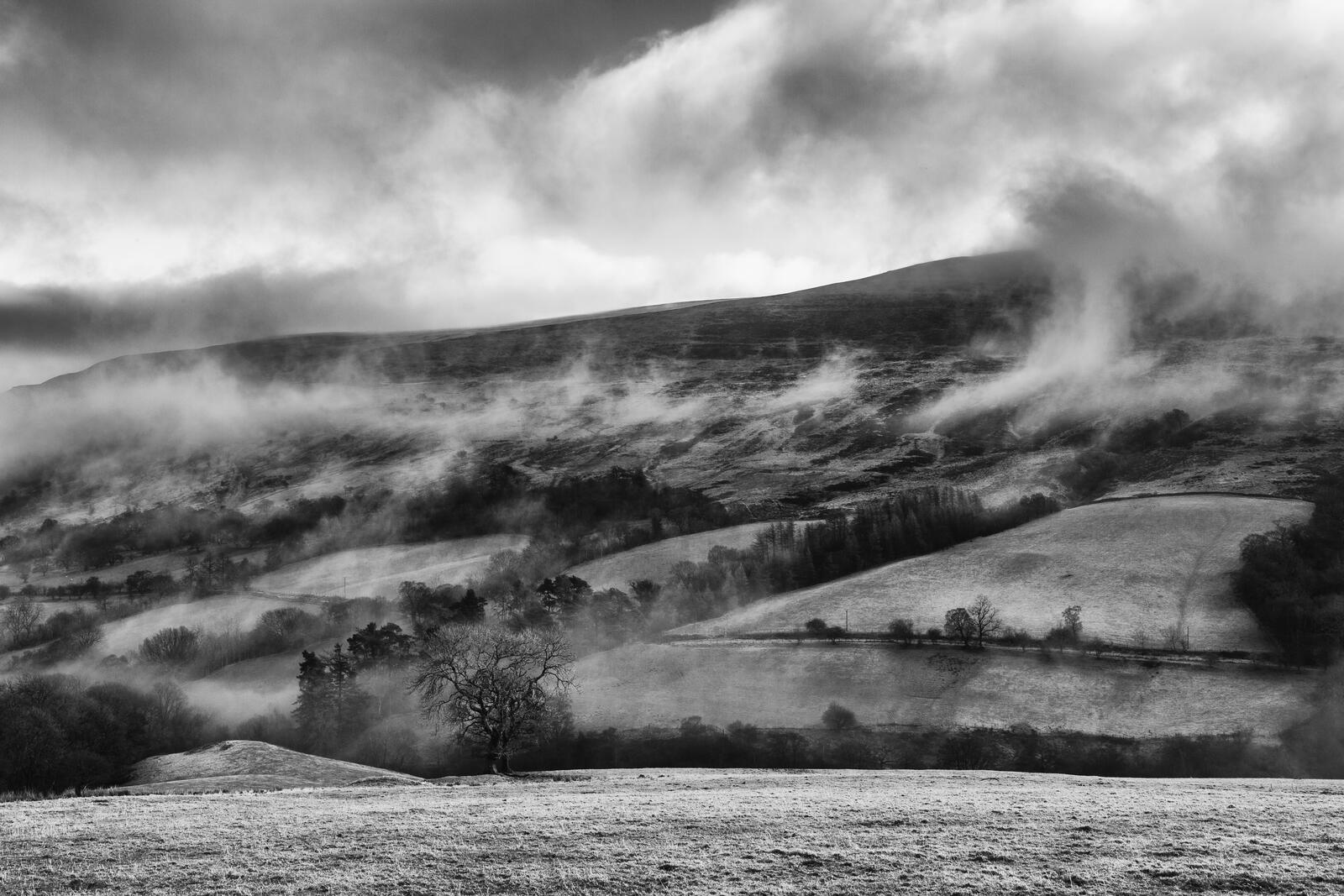 Бесплатное фото Непроглядный туман над большими полями