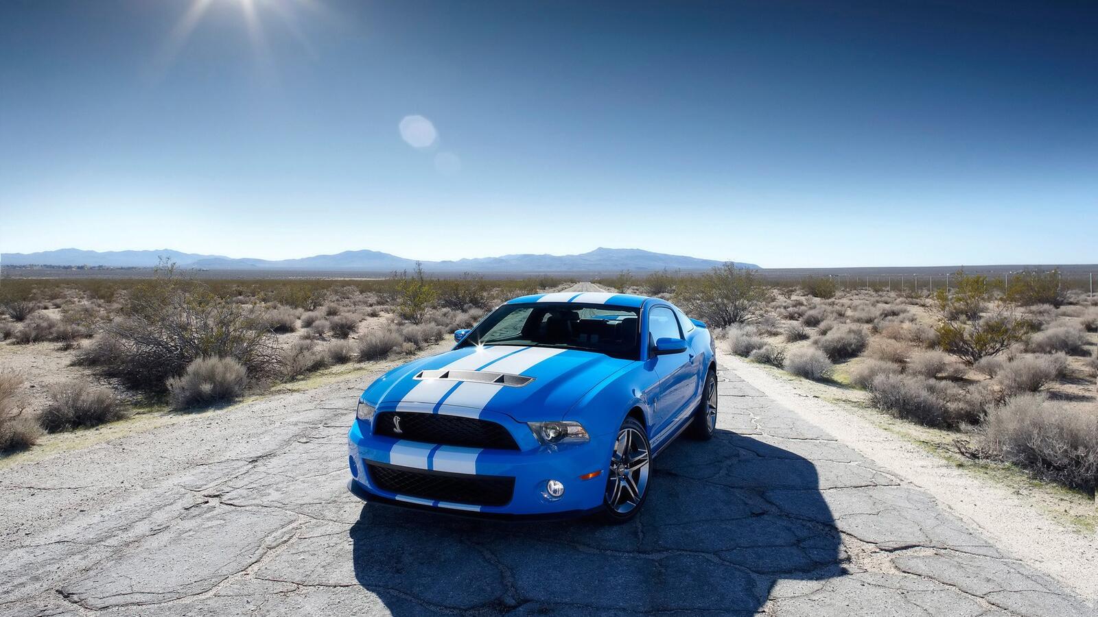 Free photo A blue Ford Mustang Shelby with white stripes.